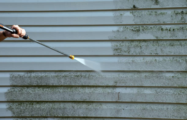 Soft Washing & Pressure Washing